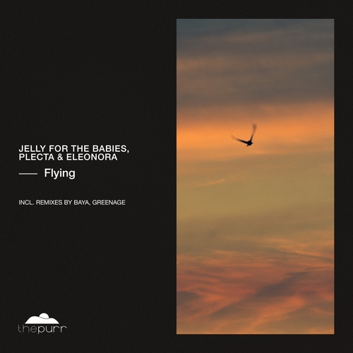 Jelly For The Babies, Plecta & Eleonora - Flying [PURR411]